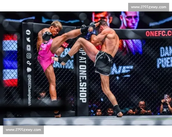 阿拉佐夫vs科尔巅峰对决揭示自由搏击新王之路世界级荣耀未来格局